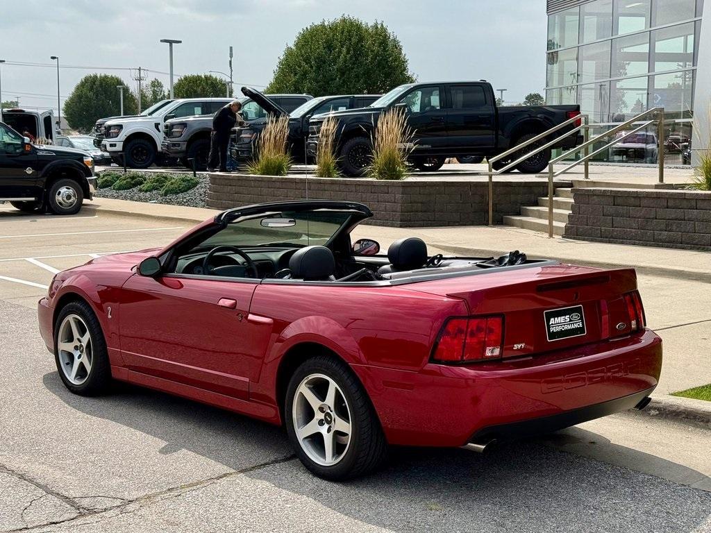 used 2003 Ford Mustang car, priced at $42,978