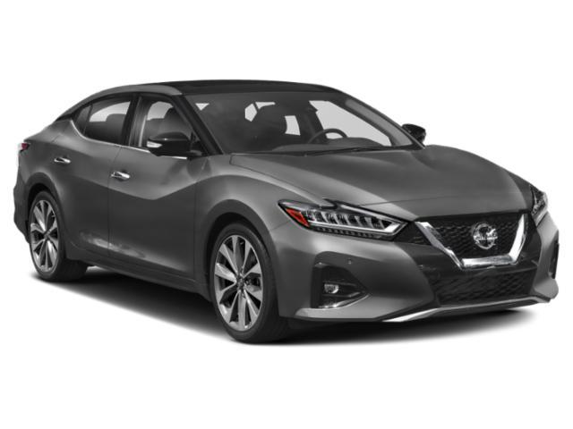 used 2019 Nissan Maxima car, priced at $23,587