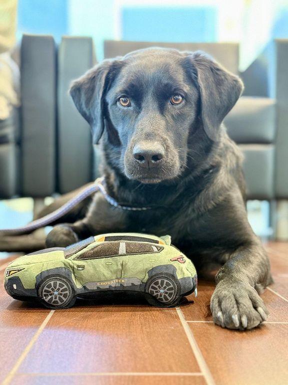 new 2025 Subaru Crosstrek car, priced at $37,958