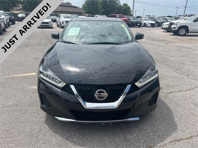 used 2019 Nissan Maxima car, priced at $19,999