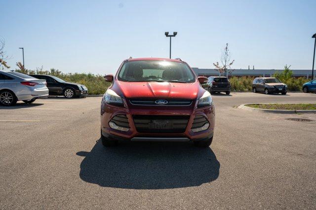 used 2014 Ford Escape car, priced at $7,990