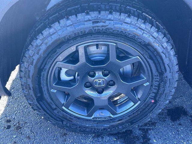 new 2025 Honda Pilot car, priced at $51,350