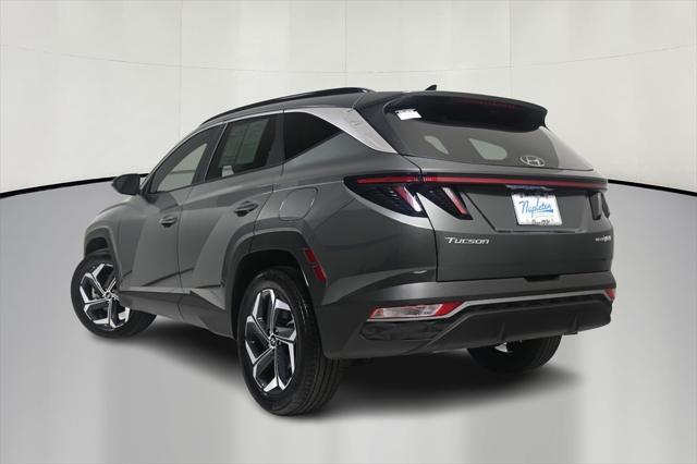 used 2024 Hyundai TUCSON Hybrid car, priced at $31,000