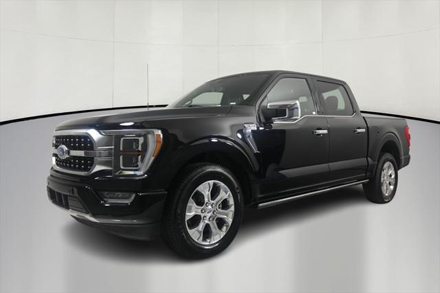 used 2023 Ford F-150 car, priced at $49,500