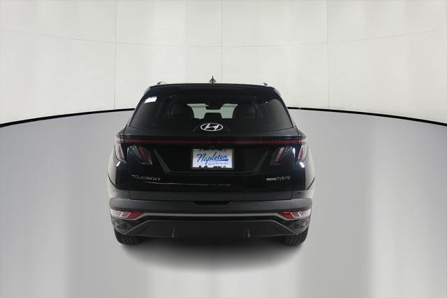 used 2024 Hyundai TUCSON Hybrid car, priced at $31,000