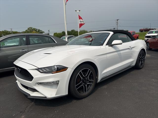 used 2023 Ford Mustang car