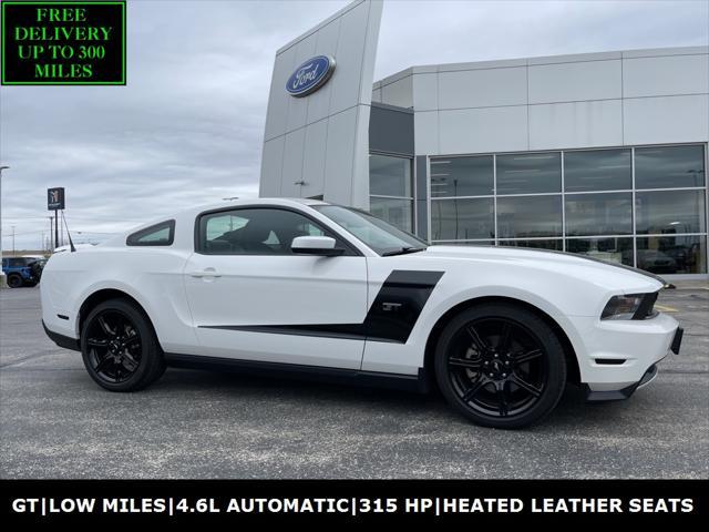 used 2010 Ford Mustang car