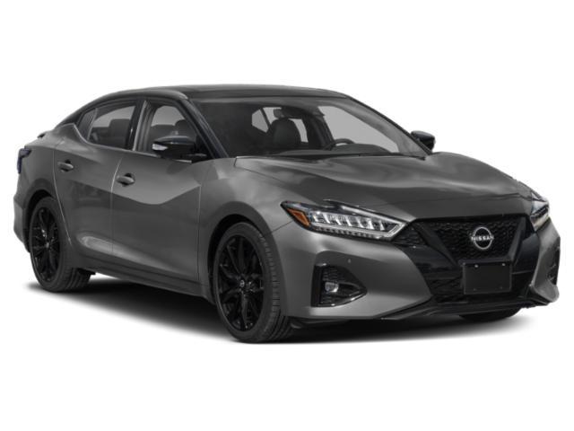 used 2023 Nissan Maxima car