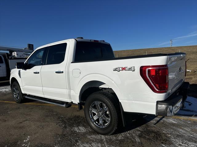 used 2023 Ford F-150 car