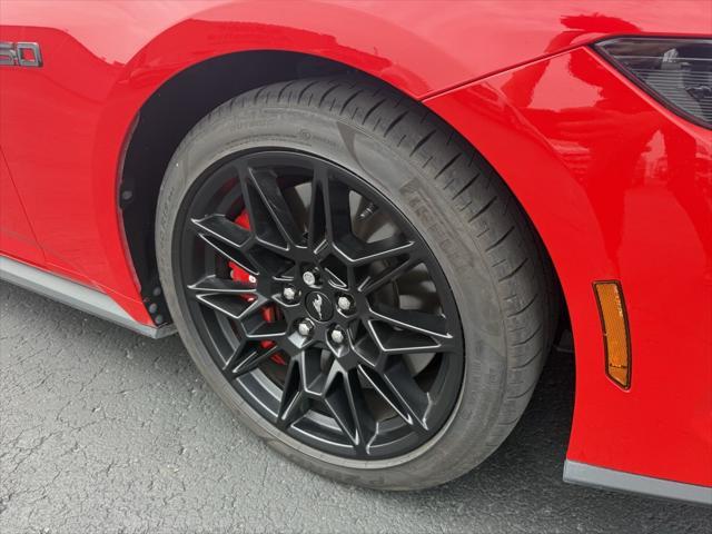 used 2024 Ford Mustang car