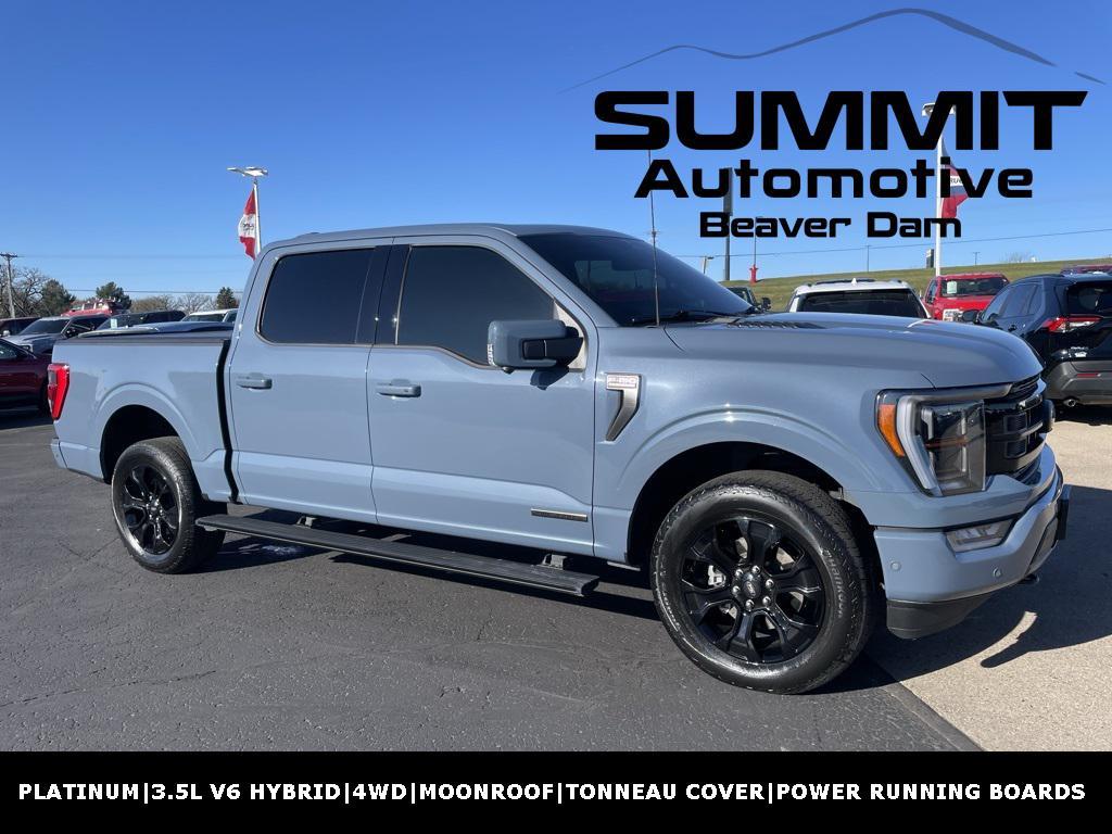 used 2023 Ford F-150 car