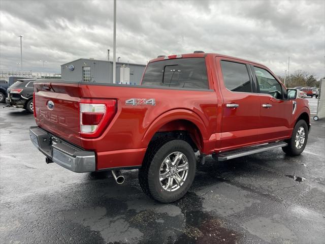 used 2023 Ford F-150 car