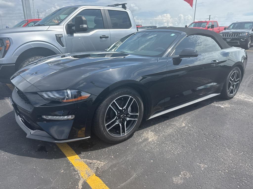 used 2021 Ford Mustang car