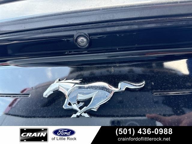 used 2019 Ford Mustang car, priced at $16,950
