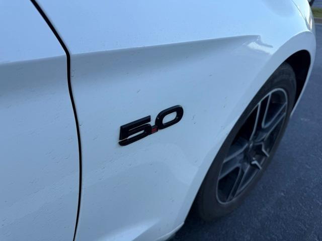 used 2022 Ford Mustang car