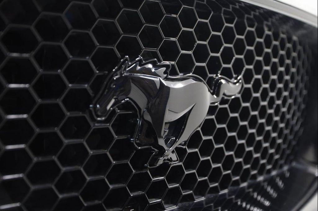 used 2019 Ford Mustang car, priced at $36,400
