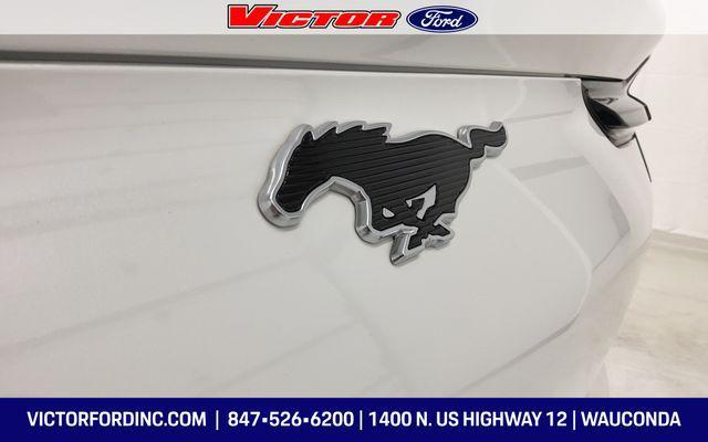 used 2024 Ford Mustang Mach-E car, priced at $31,800