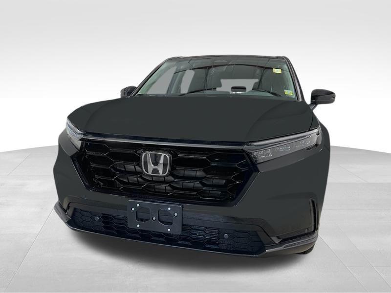 new 2025 Honda CR-V car, priced at $36,399