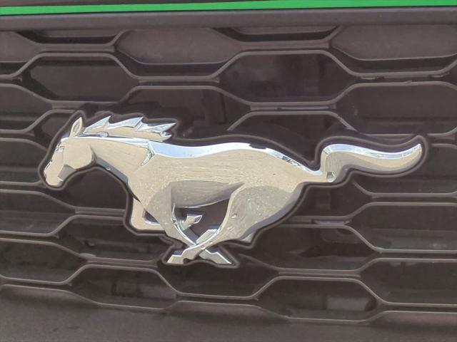 used 2019 Ford Mustang car, priced at $22,495