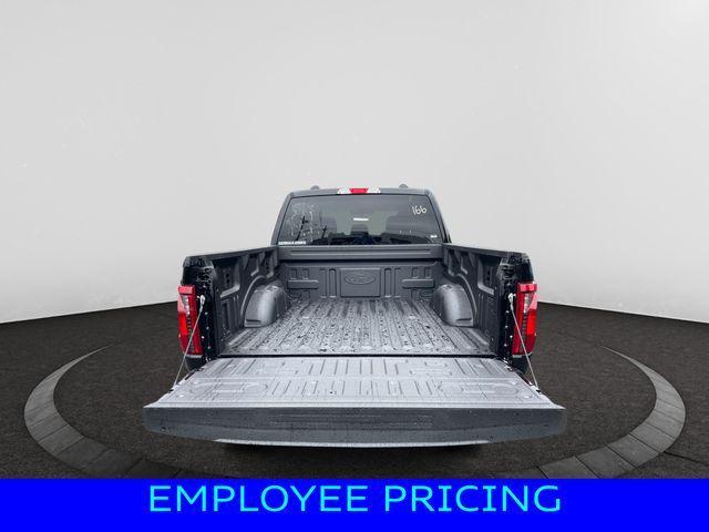 new 2025 Ford F-150 car, priced at $48,000
