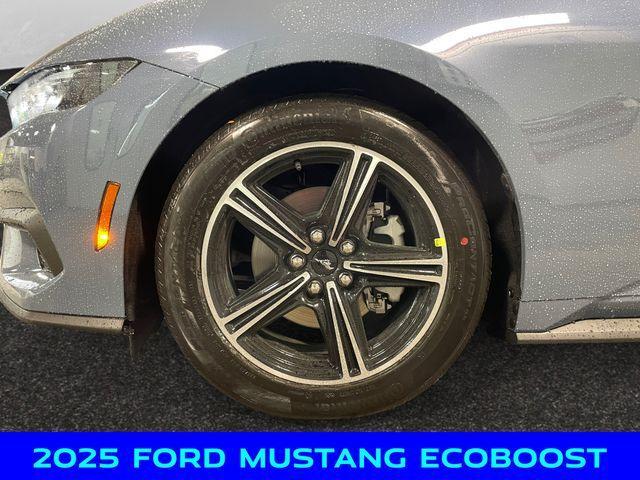 new 2025 Ford Mustang car, priced at $40,500