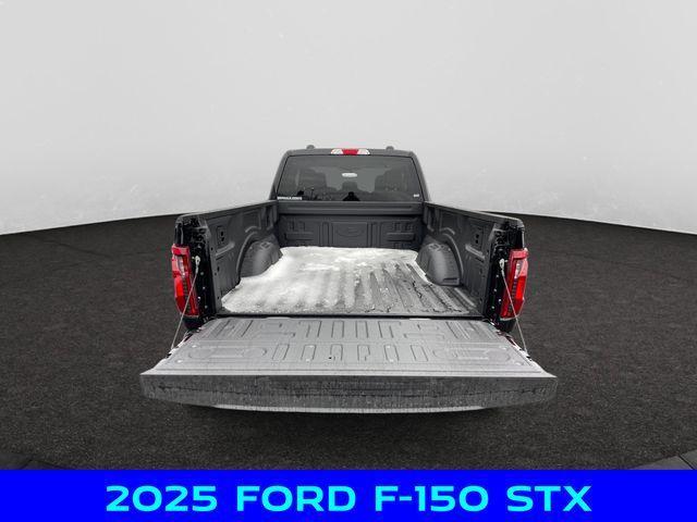 new 2025 Ford F-150 car, priced at $48,000