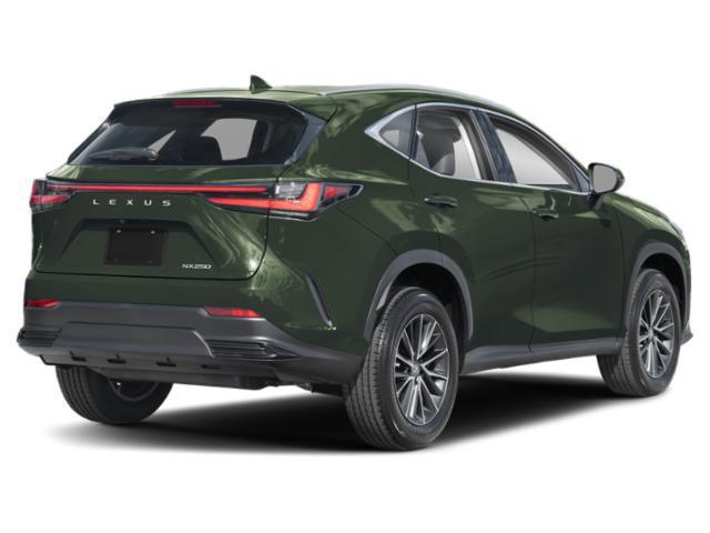 new 2025 Lexus NX 250 car, priced at $43,375