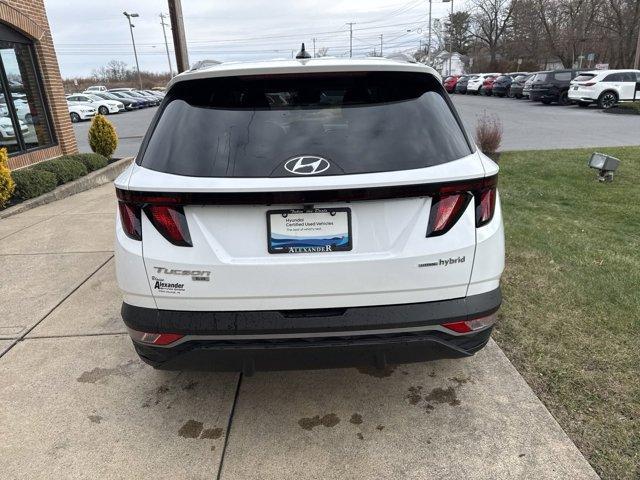 used 2024 Hyundai Tucson Hybrid car, priced at $29,500