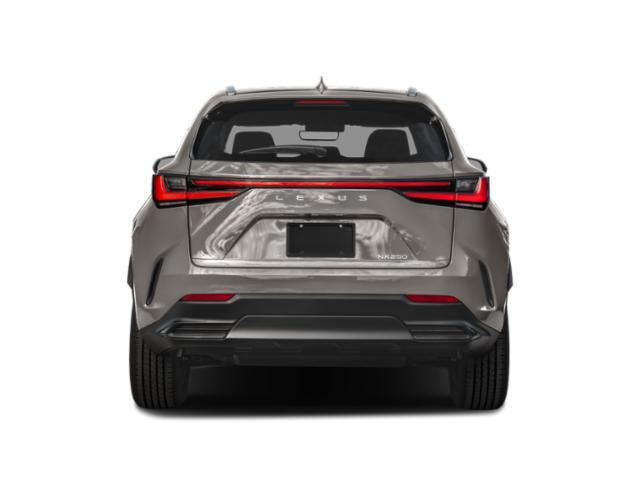 used 2023 Lexus NX 250 car