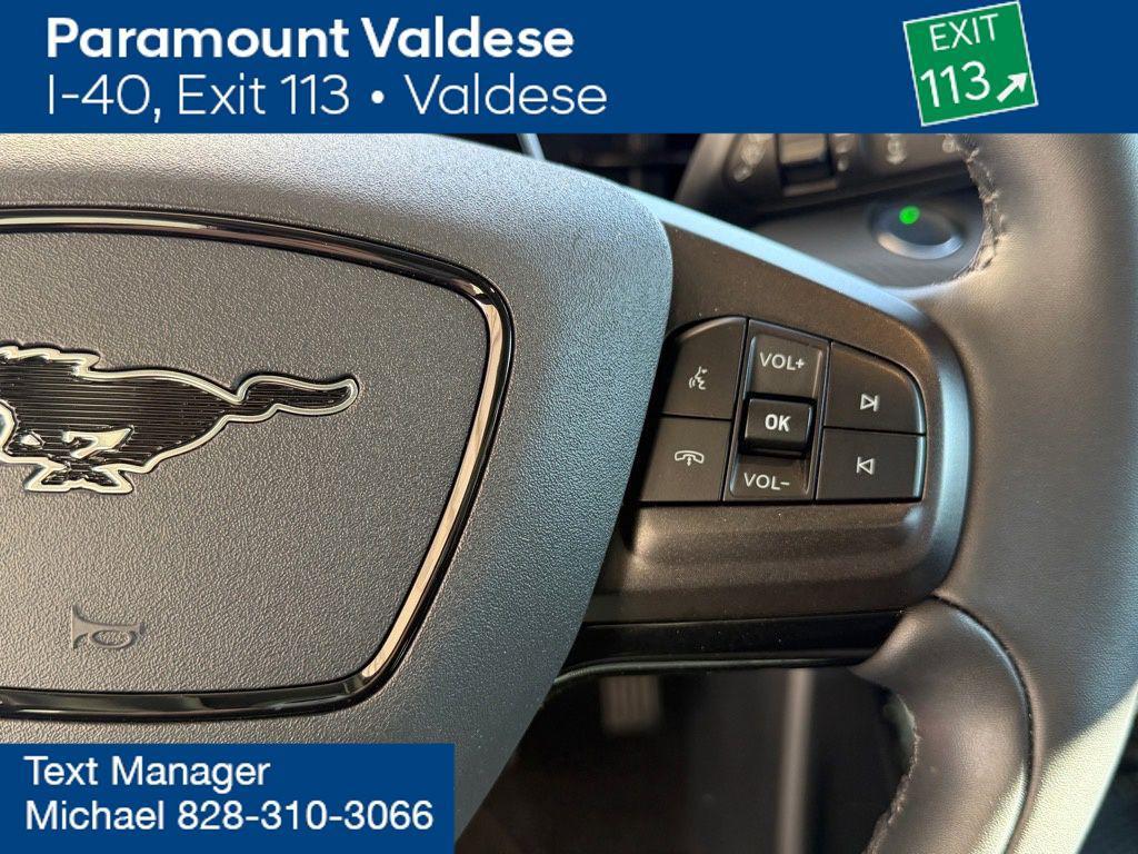 used 2022 Ford Mustang Mach-E car, priced at $25,980