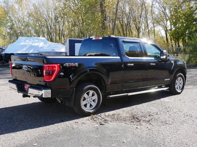 used 2023 Ford F-150 car, priced at $46,500