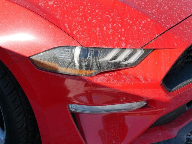 used 2019 Ford Mustang car, priced at $21,895