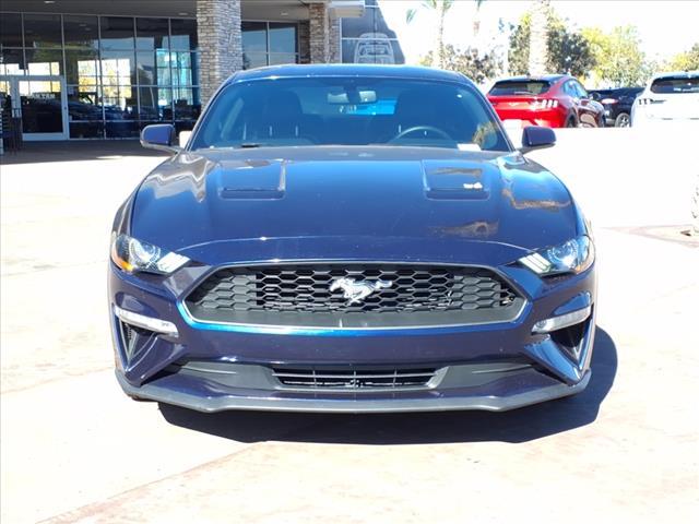 used 2019 Ford Mustang car