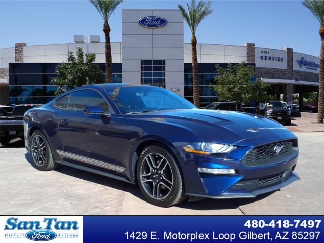 used 2019 Ford Mustang car