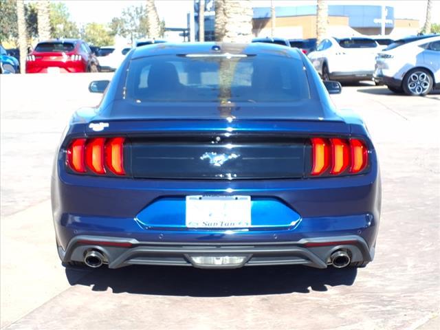 used 2019 Ford Mustang car