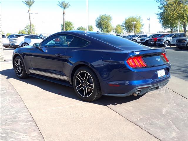 used 2019 Ford Mustang car