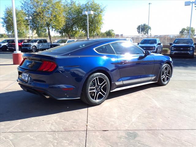 used 2019 Ford Mustang car