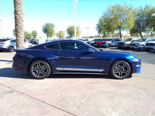 used 2019 Ford Mustang car