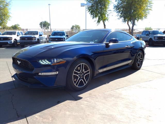 used 2019 Ford Mustang car