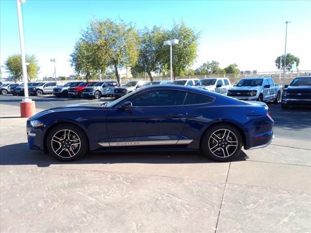 used 2019 Ford Mustang car