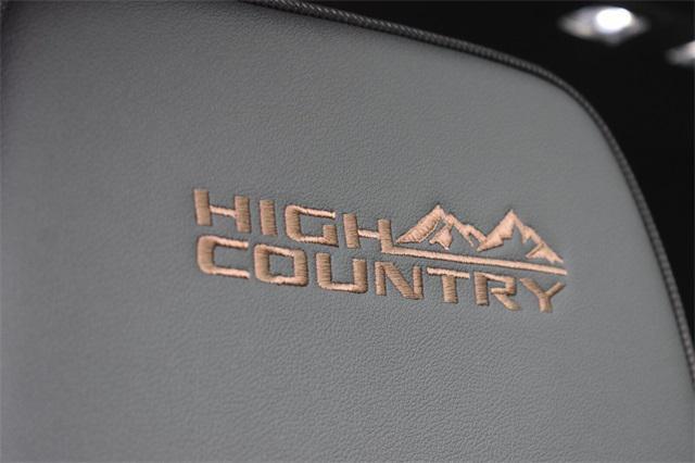 new 2025 Chevrolet Silverado 1500 car, priced at $69,597