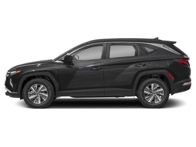 used 2024 Hyundai TUCSON Hybrid car