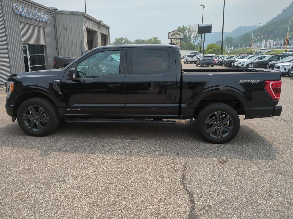 used 2023 Ford F-150 car