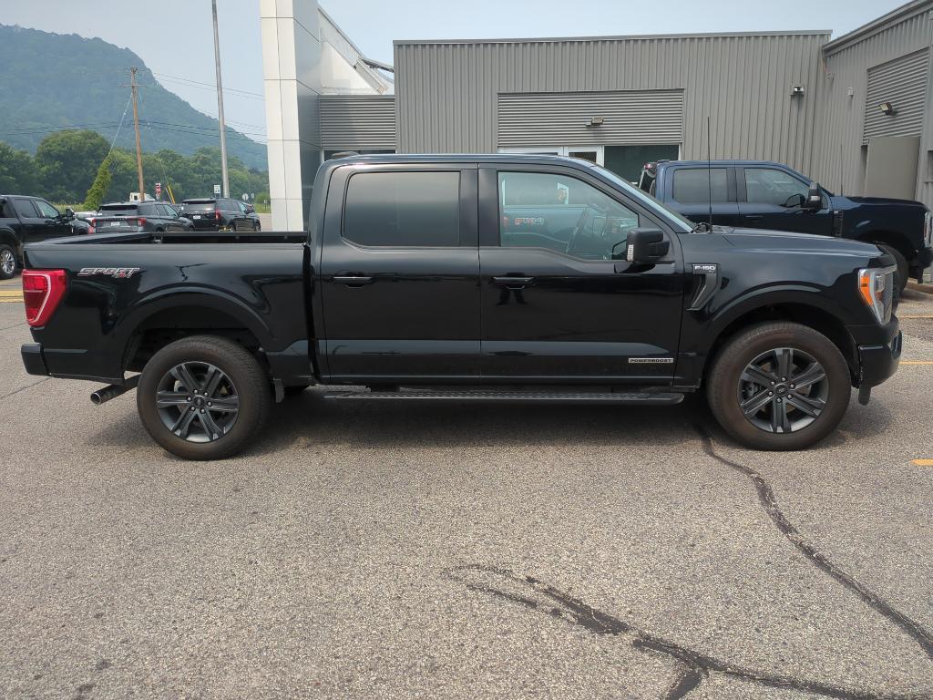 used 2023 Ford F-150 car