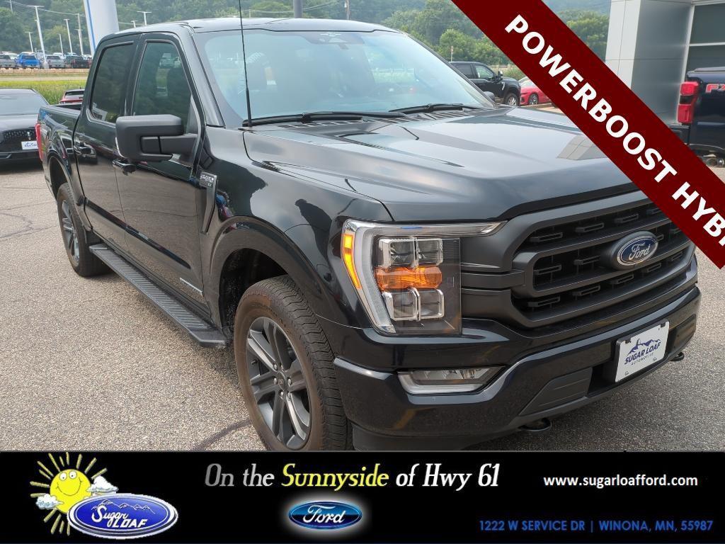 used 2023 Ford F-150 car