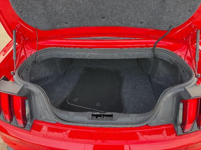 used 2019 Ford Mustang car, priced at $21,995