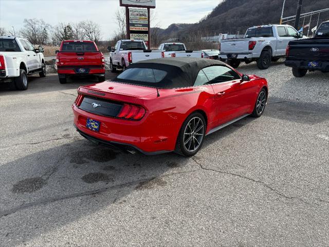 used 2019 Ford Mustang car, priced at $21,995