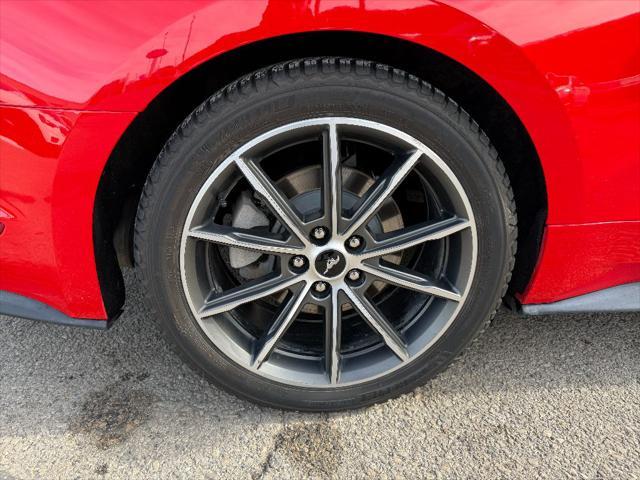 used 2019 Ford Mustang car, priced at $21,995