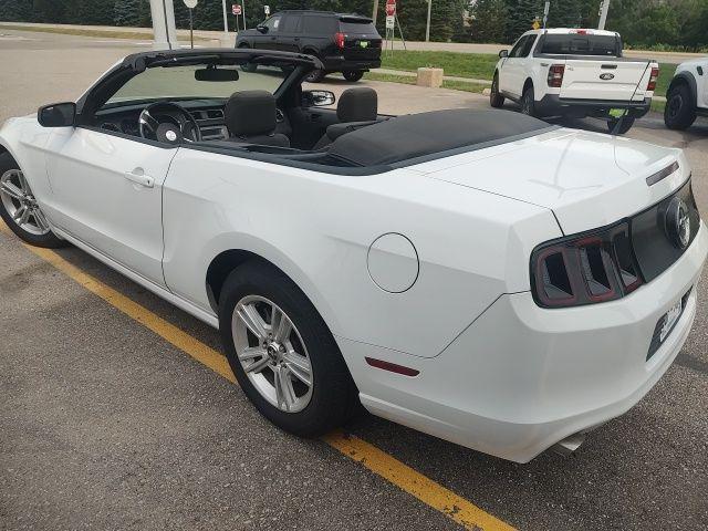 used 2014 Ford Mustang car, priced at $15,990