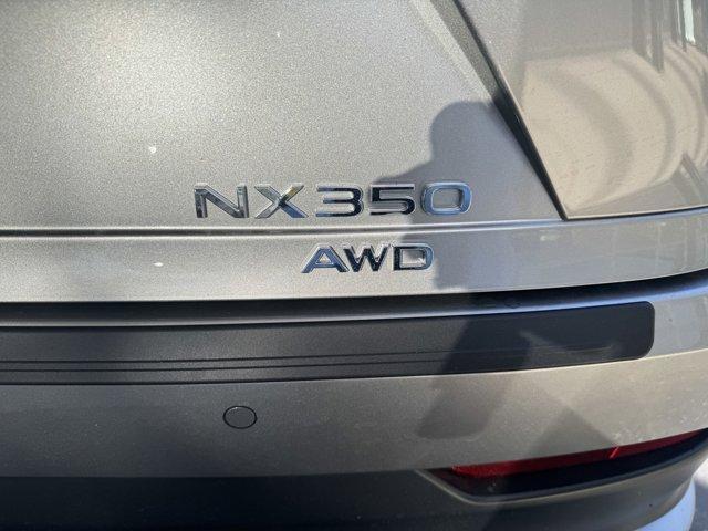 new 2024 Lexus NX 350 car